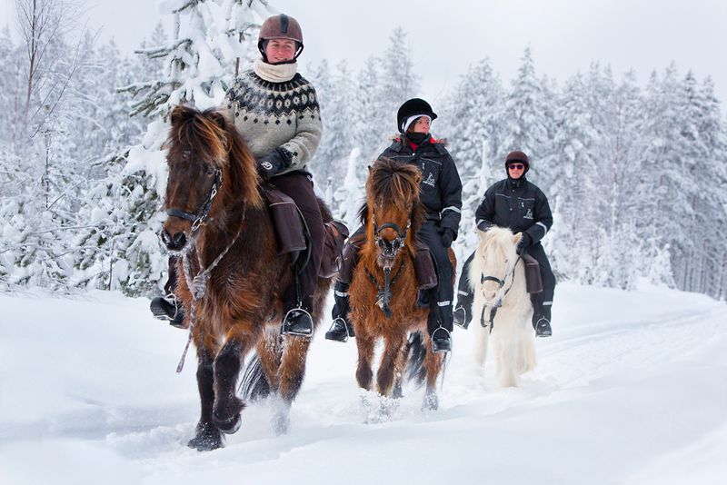 WINTER ACTIVITY ESCAPE — photo 19
