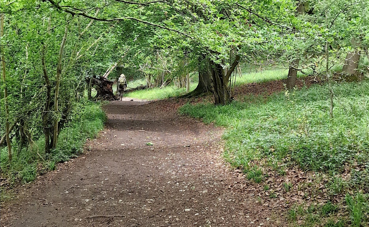 Muslim Meaningful Hikes - Tring and Wendover Woods